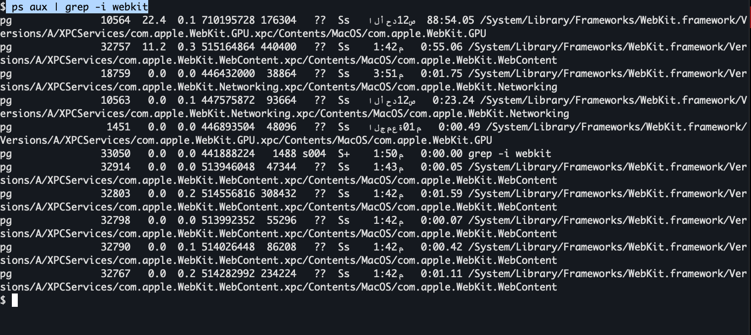Monitor de Atividade do macOS filtrado por WebKit, mostrando os processos com.apple.WebKit.WebContent, com.apple.WebKit.GPU e com.apple.WebKit.Networking rodando como processos separados sandboxados ao lado do Safari