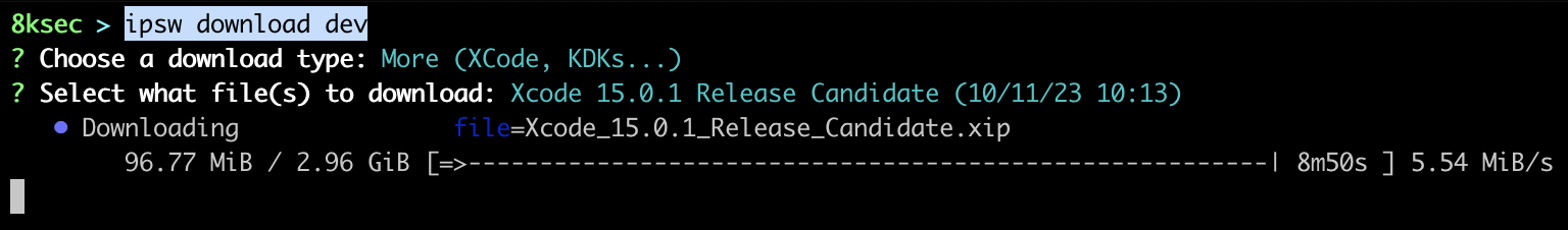Saída do comando IPSW download dev mostrando firmware beta disponível para download