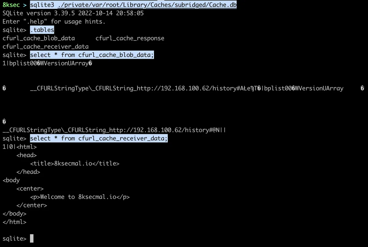 subridged Cache.db contents